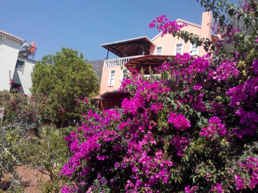 Villa Koknar Pension Kaş Rom bilde