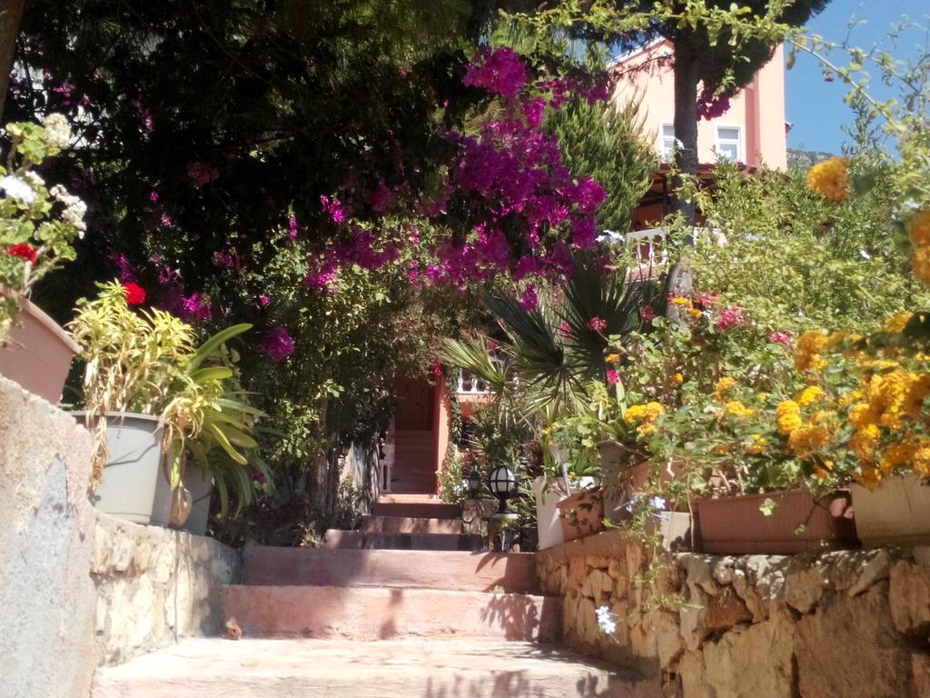 Villa Koknar Pension Kaş Rom bilde
