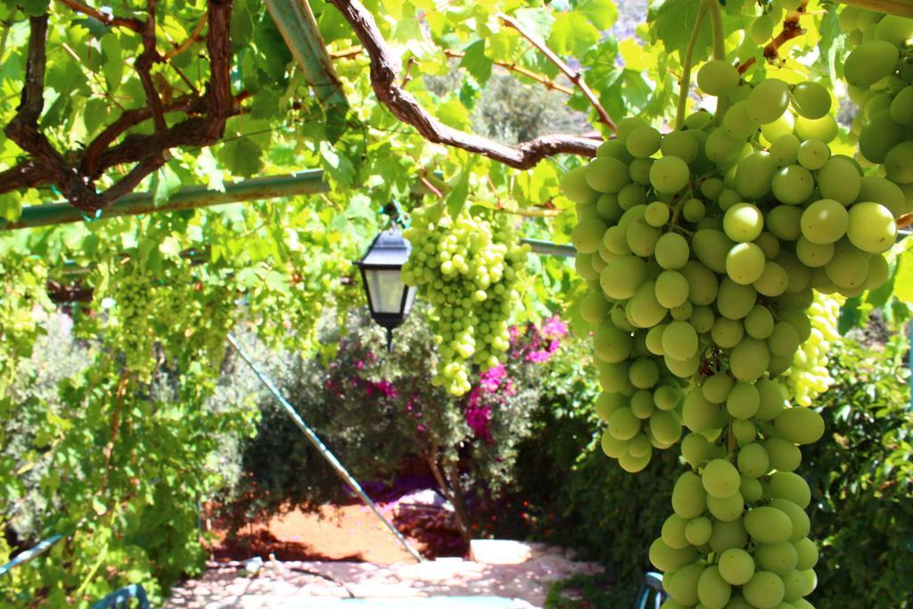 Villa Koknar Pension Kaş Eksteriør bilde