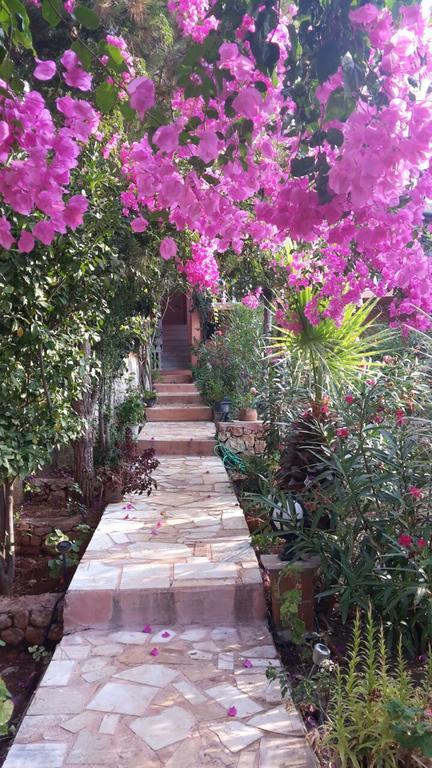 Villa Koknar Pension Kaş Eksteriør bilde